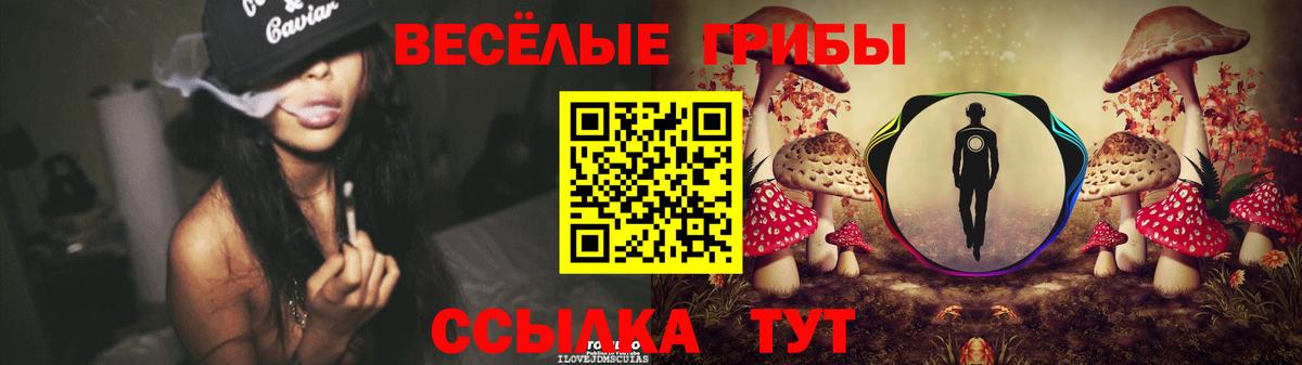 Псилоцибиновые грибы ЛСД  Вход с VPN  сколько стоит  Губкин 
